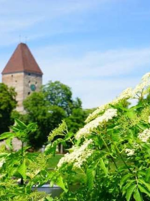 Tajemství průmyslově vyráběných džusů z obchodů