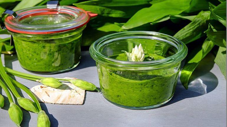 pesto z medvědího česneku